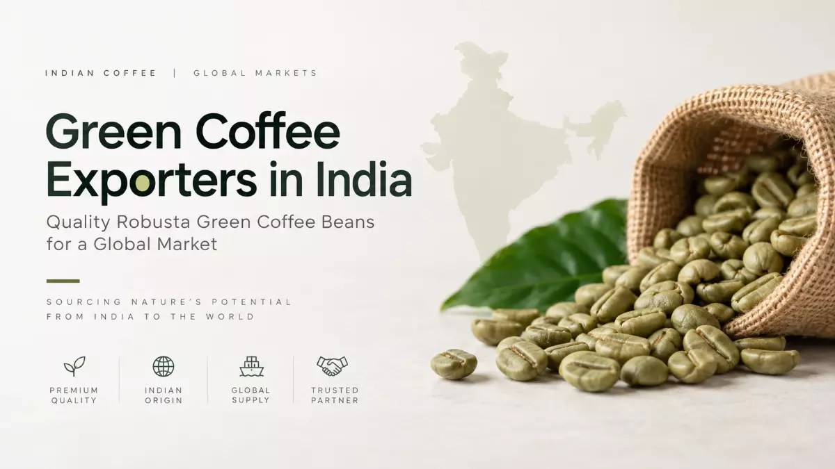 A Buyer’s Guide to Indian Green Coffee and Robusta Beans