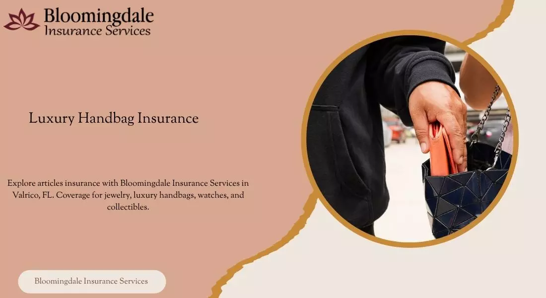 Comprehensive Luxury Handbag Insurance Solutions by Bloomingdale Insurance Services