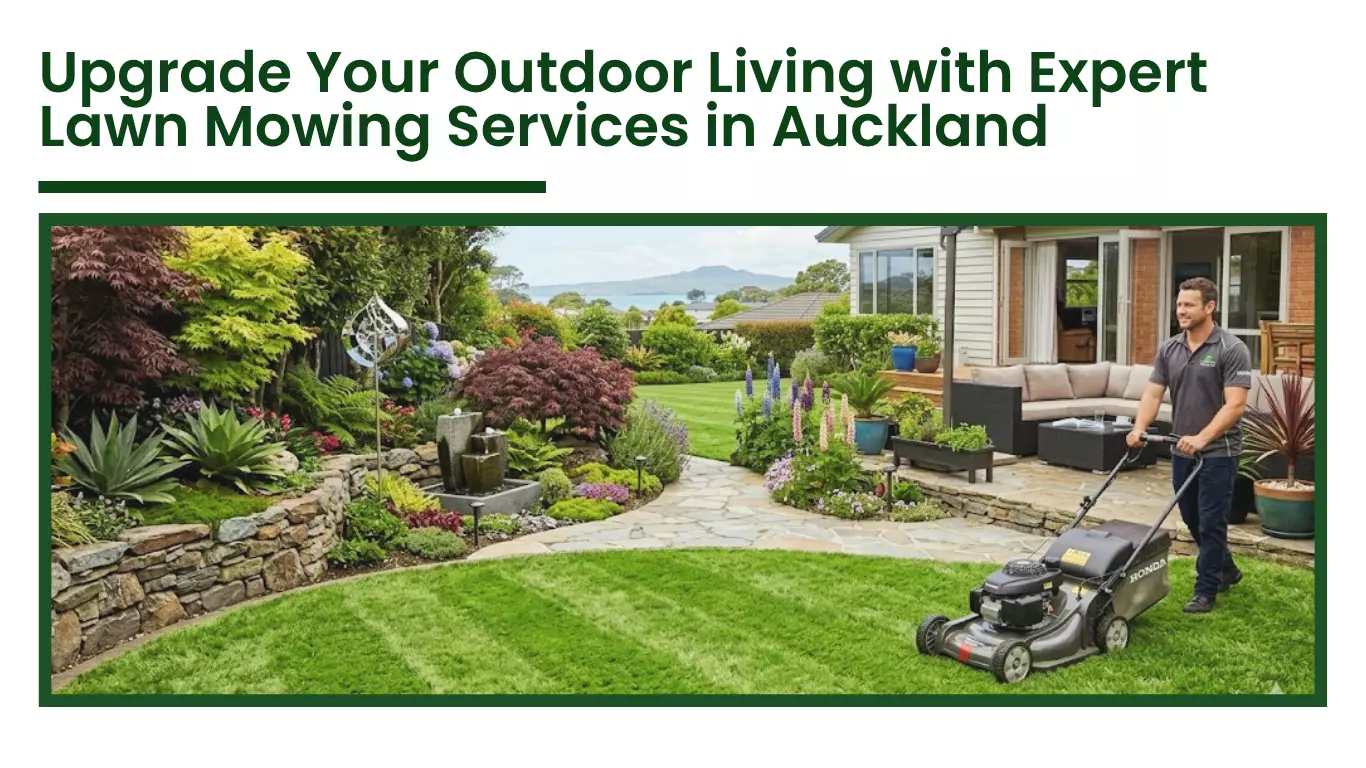 Upgrade Your Outdoor Living with Expert Lawn Mowing Services in Auckland