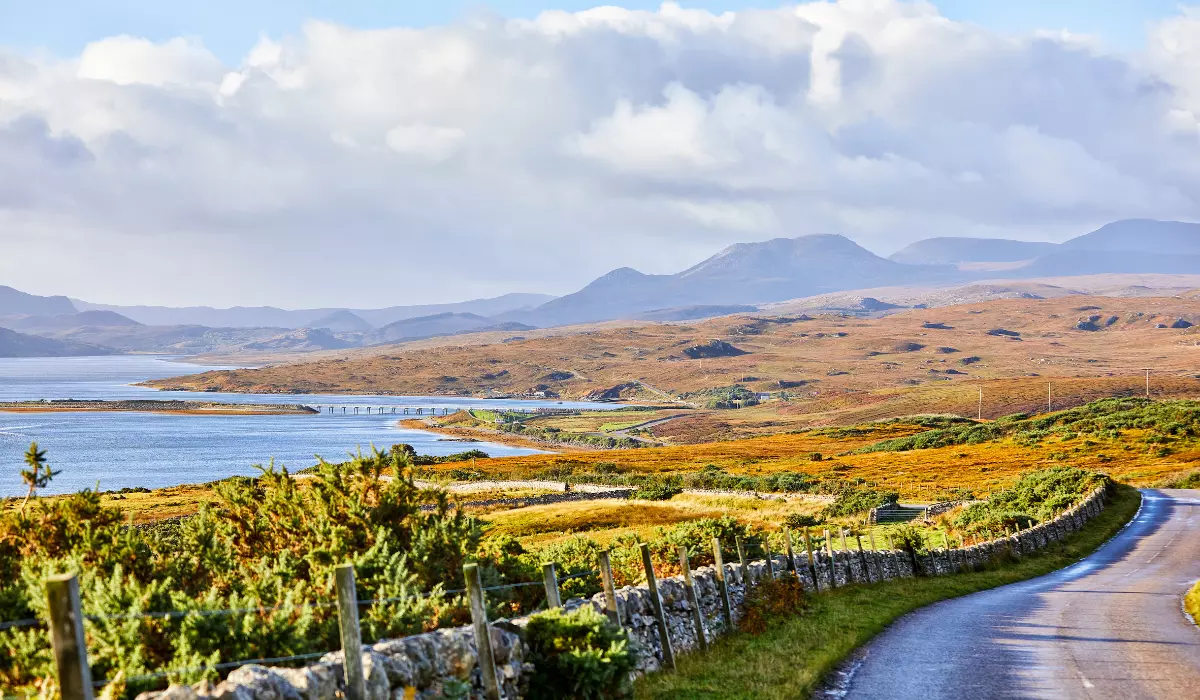 When the Road Leads You to Raleigh: Finding Comfort Without Breaking the Bank