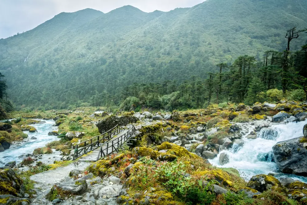 Goechala Trek Itinerary: Best Routes, Campsites & Travel Tips