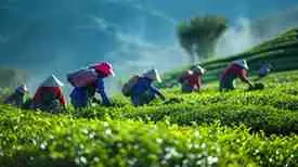 Ethiopia eVisa for Overland Travelers: Routes to Kenya & Djibouti