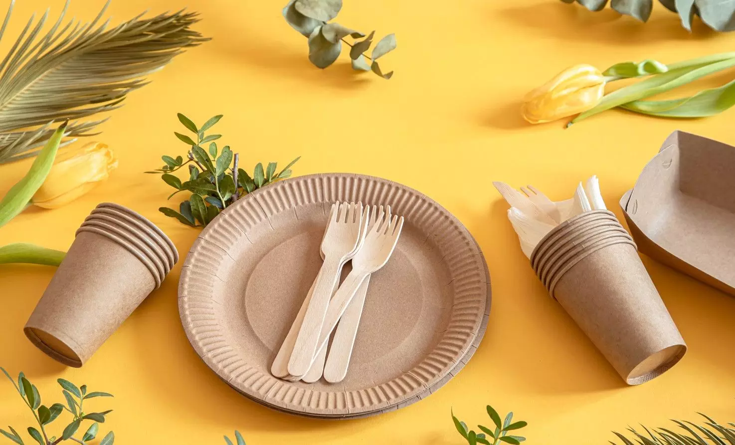 The Future of Food Packaging in Toronto: Innovation, Sustainability, and Local Supply