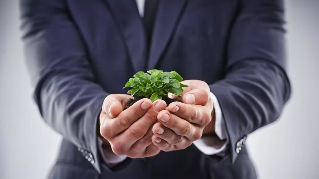 How Corporations Turn Sustainability Into Innovative Products and Work Models