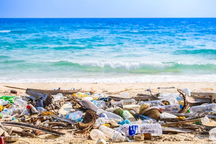 Fiinovation - Plastic Pollution in India : The Growing Role of CSR in India