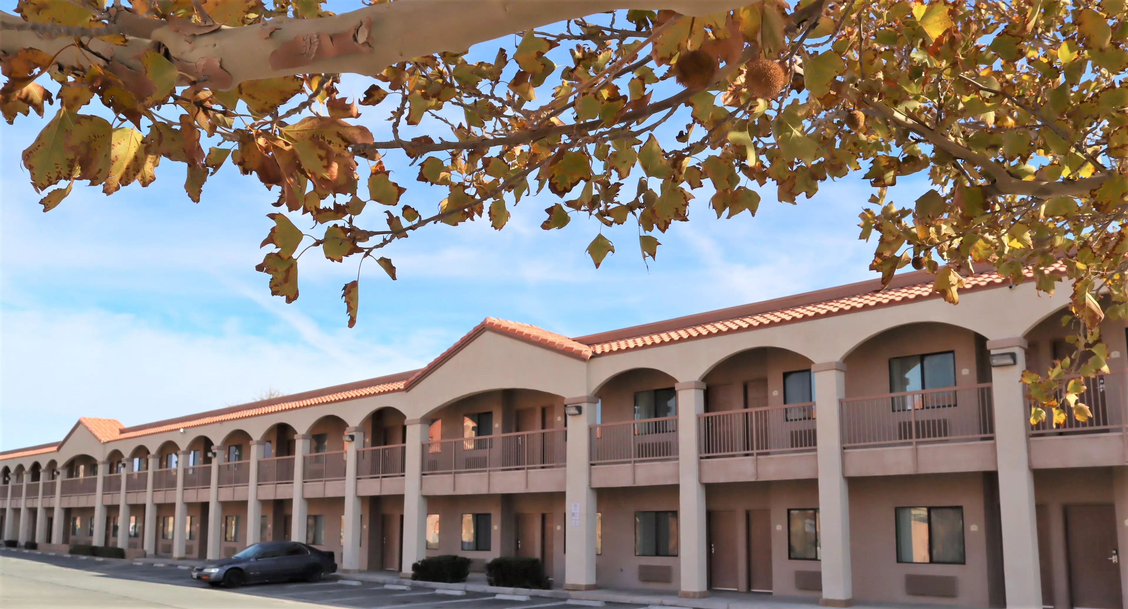 How Staying at OASIS Inn & Suites and Straight Inn & Suites Enhances Your Joshua Tree Adventure