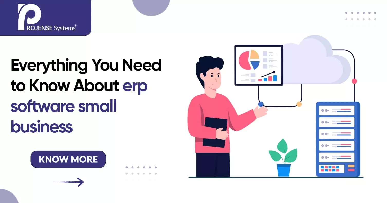 What Is ERP Software for Small Business?