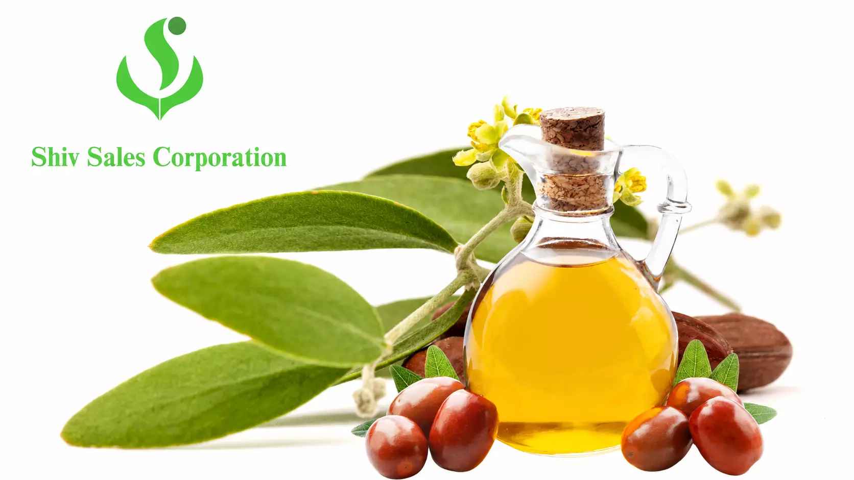 Best Jojoba Oil Manufacturer in Noida, Delhi