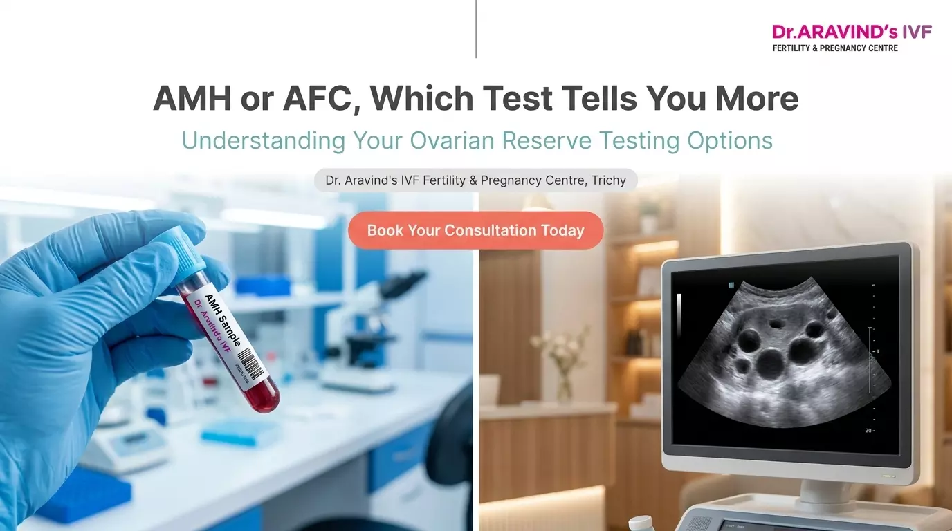 AMH vs AFC: Which Test More Accurately Predicts Your Chances of Getting Pregnant?