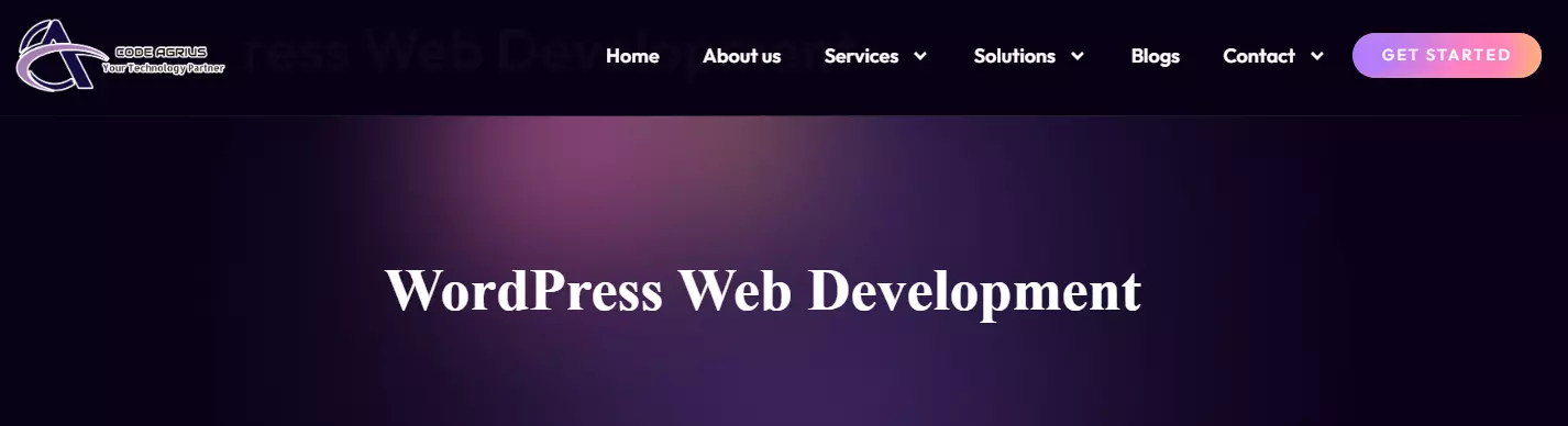 How Code Agrius Optimize WordPress for Better Speed