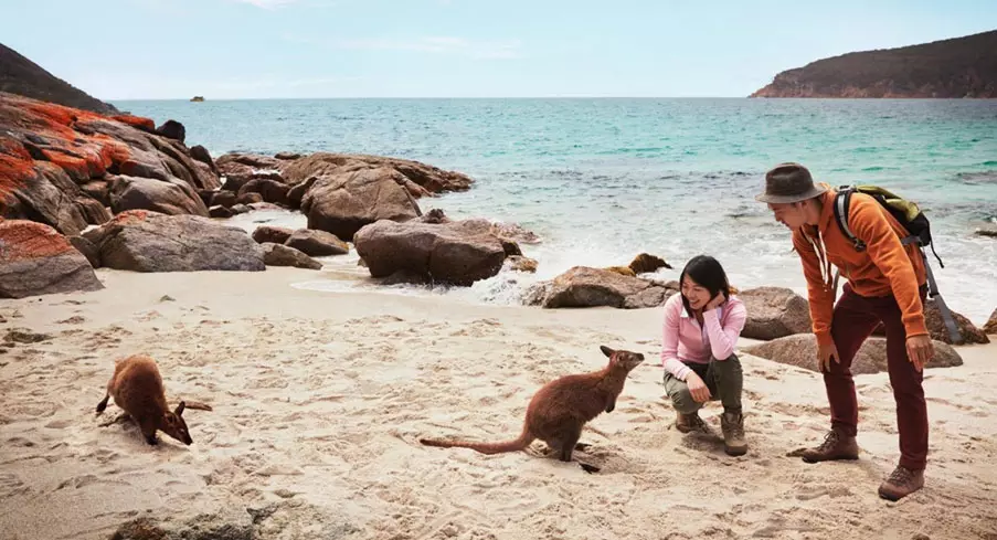 Your Guide to the Best Places to Visit in Australia