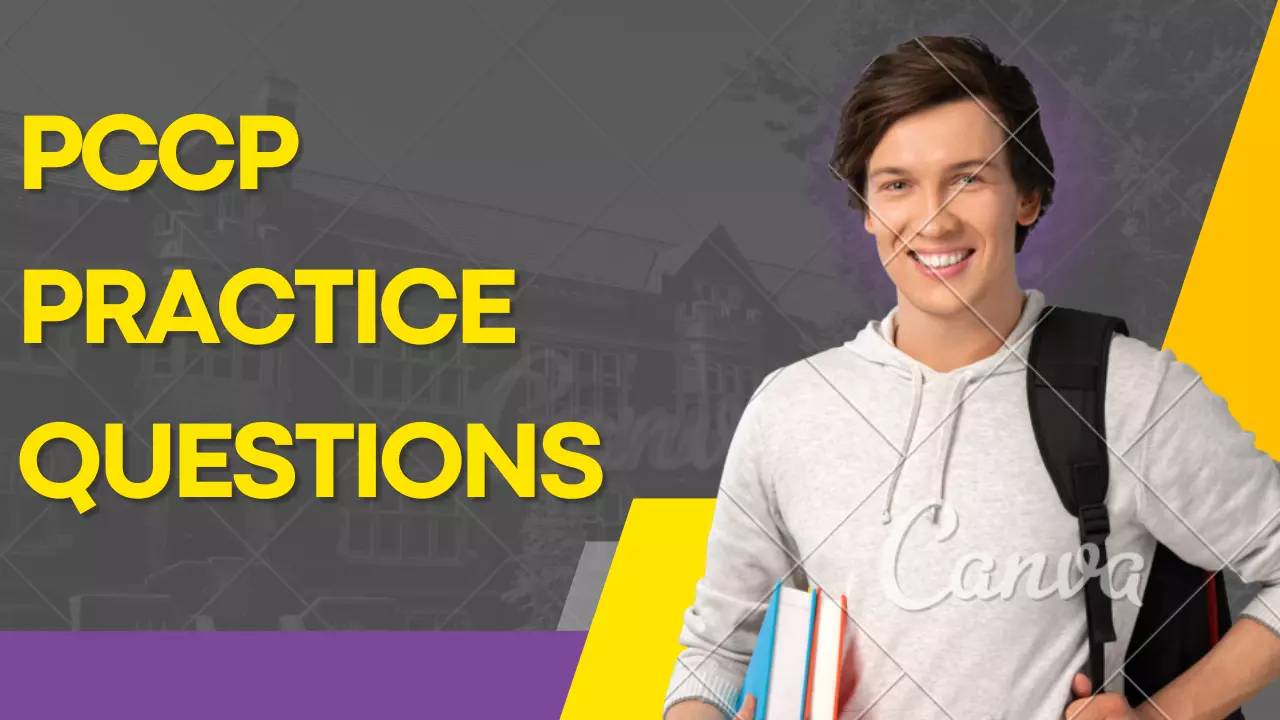 How the PCCP Exam Can Help You Stand Out in the Job Market