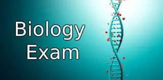 Biology Exam Preparation Strategies That Actually Work