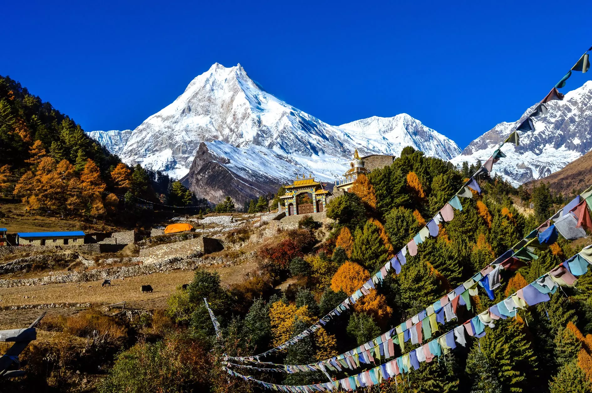Manaslu Circuit Trek for Couples: Romantic Himalayan Adventure Guide