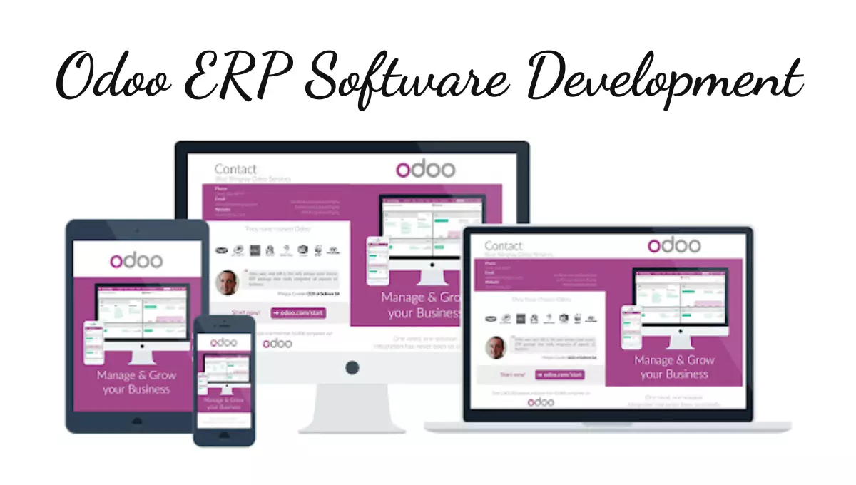 The ROI of Custom Odoo ERP Development: A Data-Driven Analysis