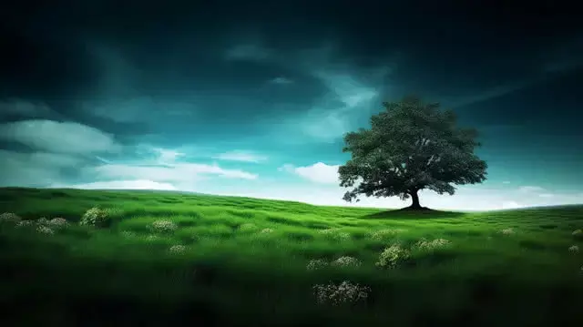 As daylight shortens