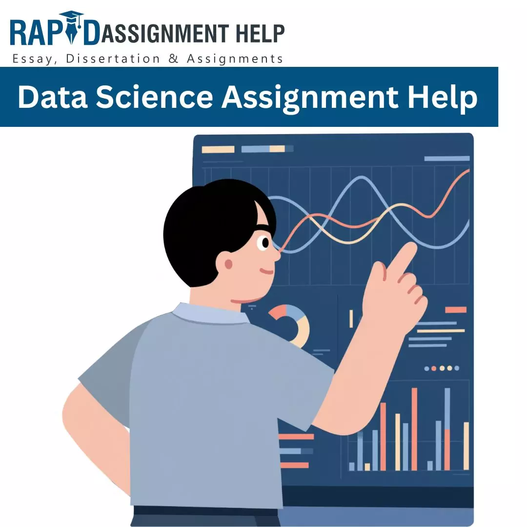 Data Science Assignment Help: Understanding What Your Data Is Really Saying