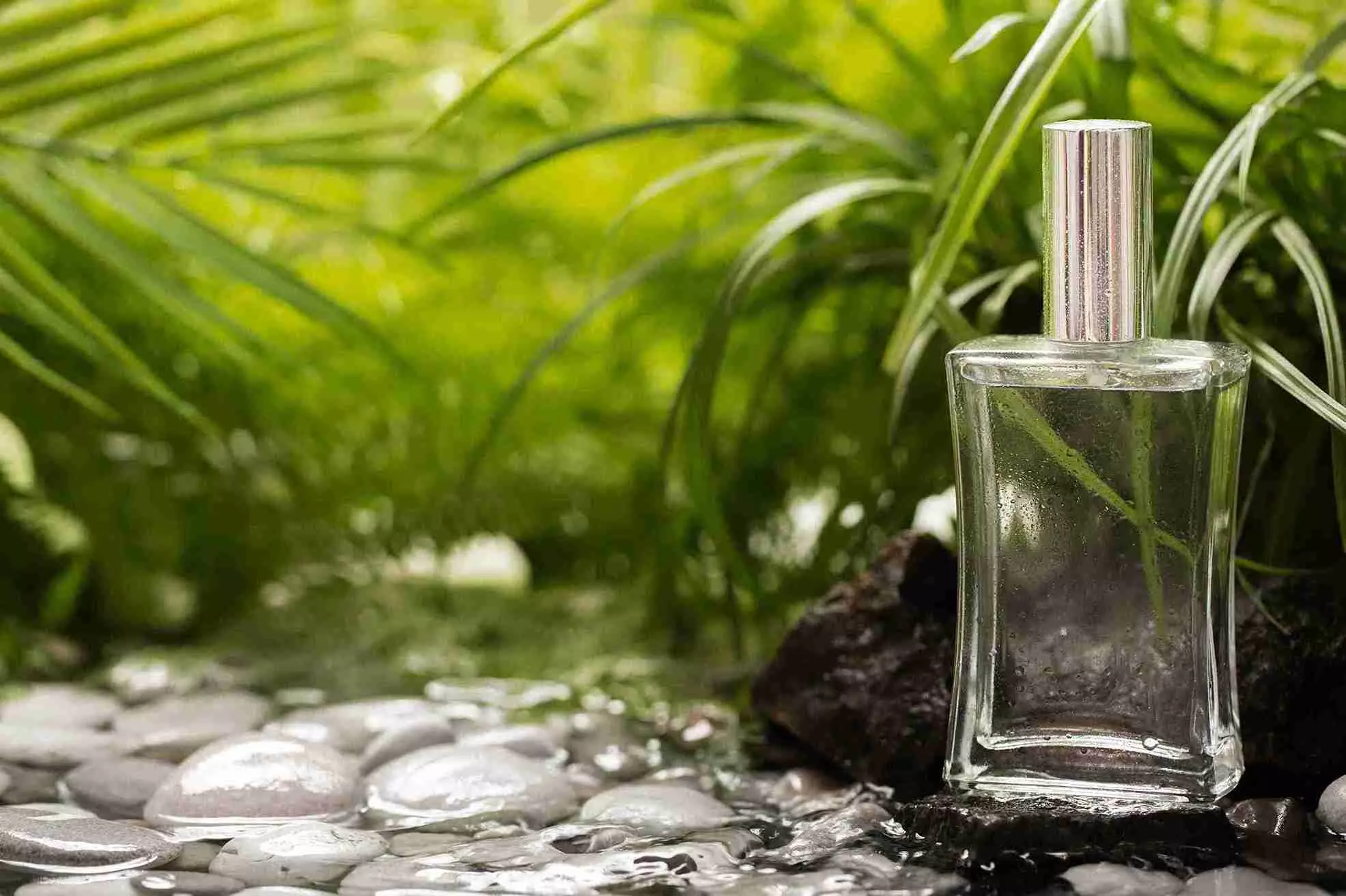 Famous Perfume in Dubai: A Journey into Fragrance and Elegance