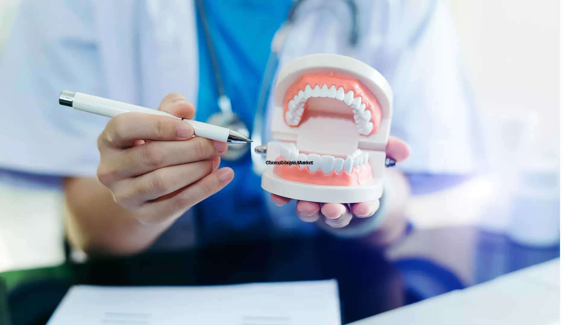 China Dental Market Report 2025–2033: Trends, Forecasts, and Competitive Analysis