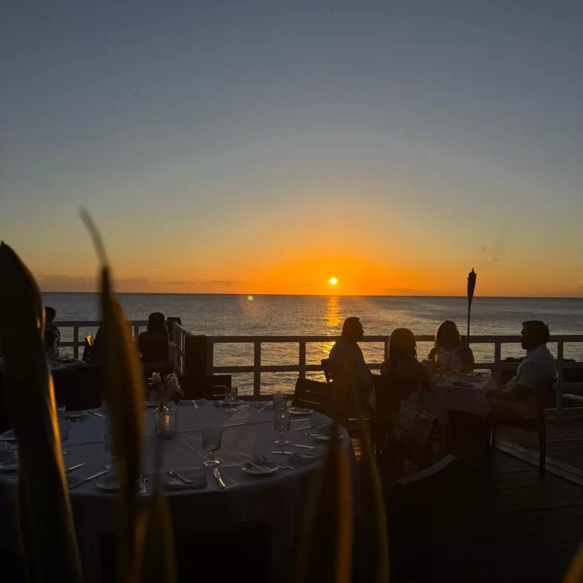 Best Dinner in Grand Cayman: Top Dining Experiences for an Unforgettable Evening