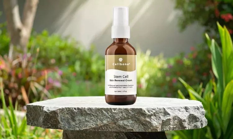 The Growing Trend of Stem Cell Cream in Skincare