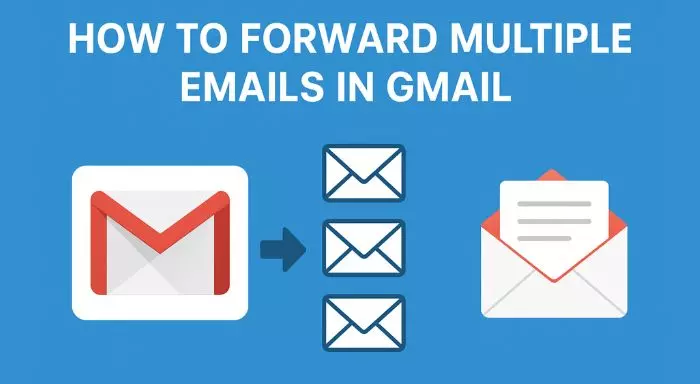 How to Forward Multiple Emails in Gmail: Step By Step Guide