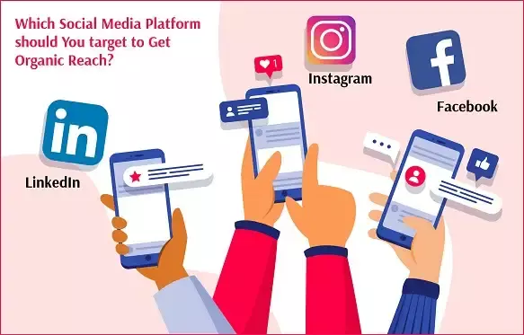 Social Media Agency Noida – Make You Big Offers Complete Digital Growth Solutions