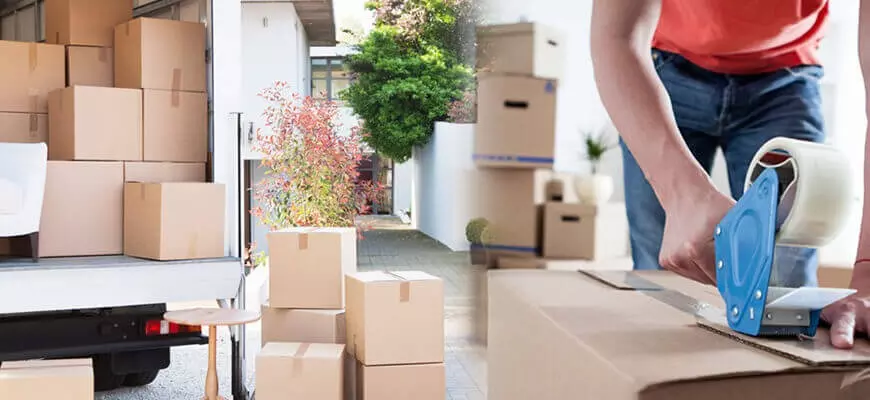 Spider Movers & Packers: Your Guide to Stress-Free Relocation