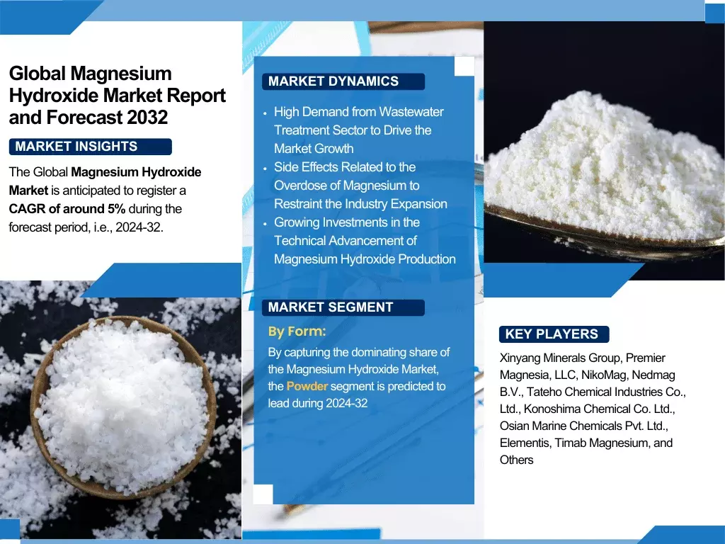 Egypt Magnesium Hydroxide Market Share, Size, Growth, Analysis, and Report – 2024-32