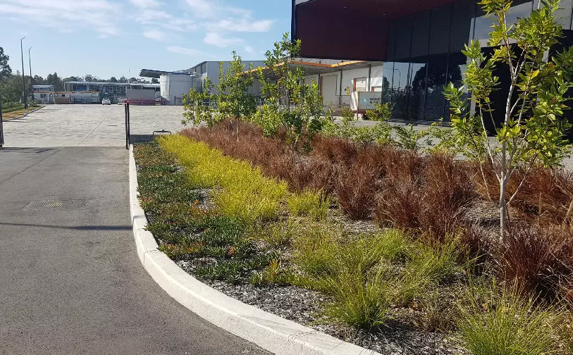 Best Landscape Solutions Sydney for Low-Maintenance Design