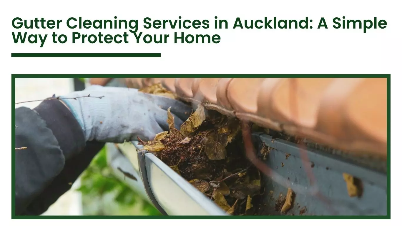 Gutter Cleaning Services in Auckland: A Simple Way to Protect Your Home