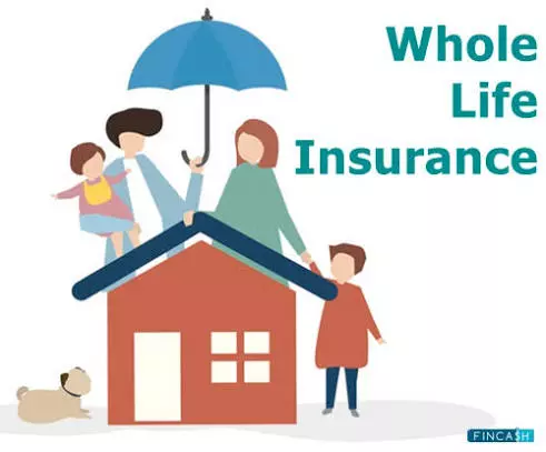 Whole Life Insurance vs. Term Insurance Plans - Which One Is Right