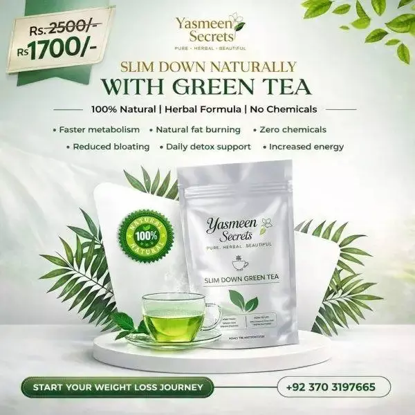 Green Tea Bags Benefits: Simple Guide for Beginners