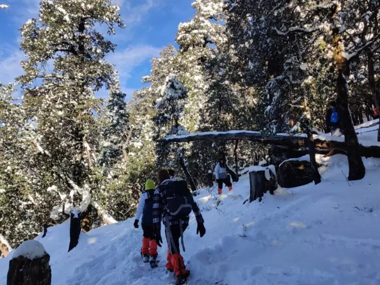 To the Edge of the Wind: Discovering Brahmatal Before the World Finds It