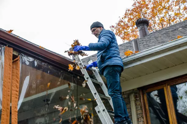 Gutter Cleaning in Albert Park: Why Regular Maintenance Matters