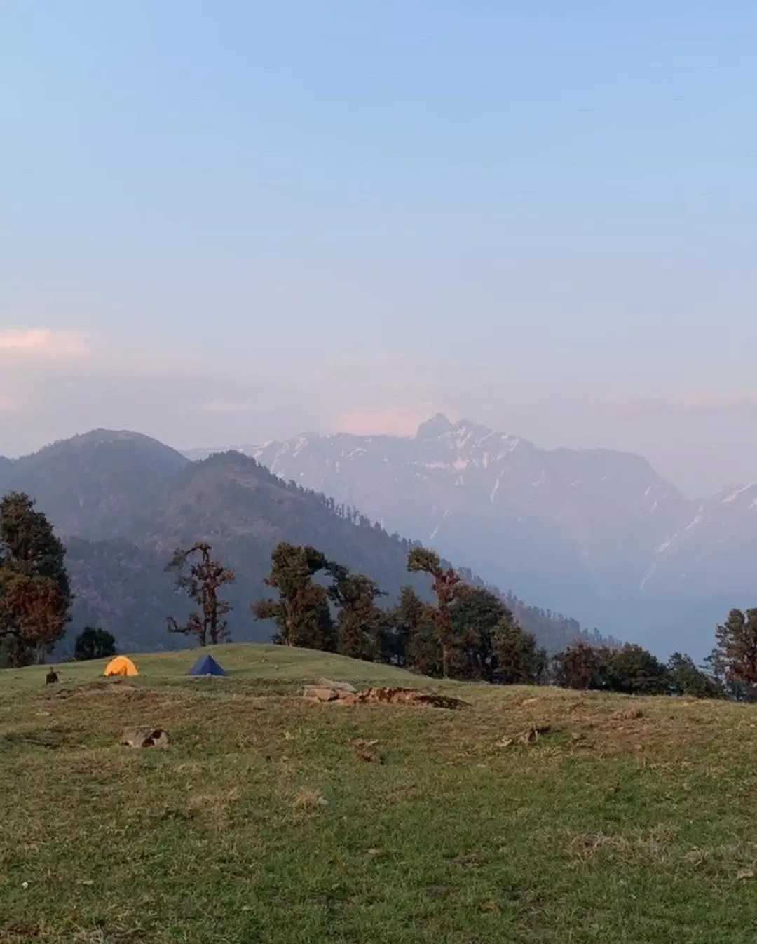 Best Treks to Explore Alpine Forests in the Post-Monsoon Season