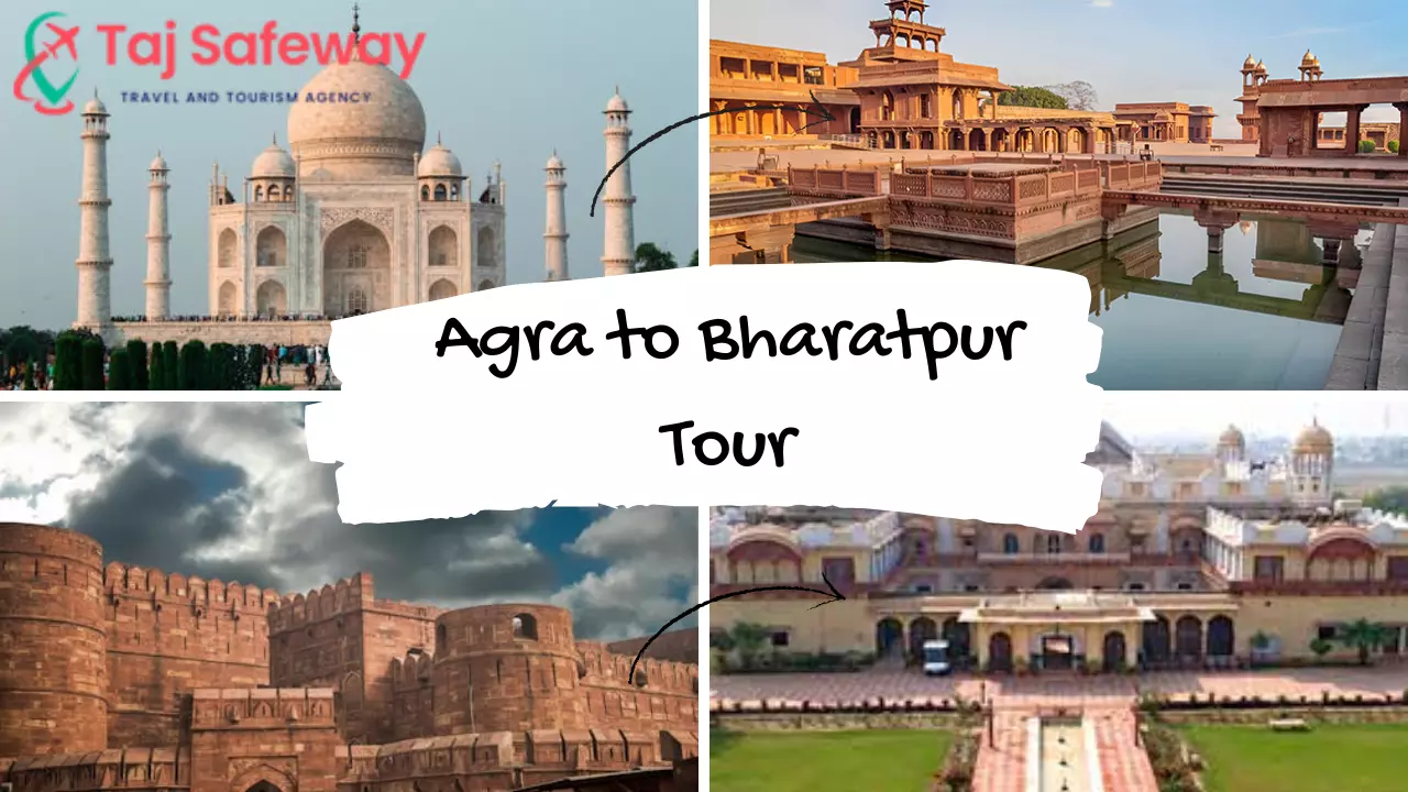 Discover Wildlife and History: Agra to Bharatpur Tour