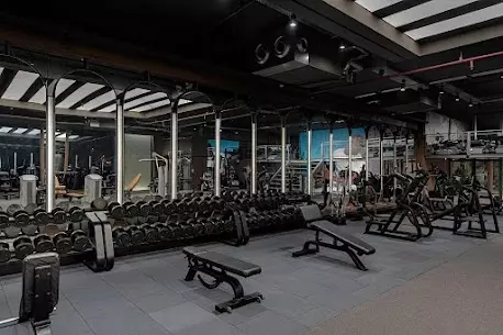 Why Do People Quit the Gym? 8 Common Reasons and How to Stay Consistent
