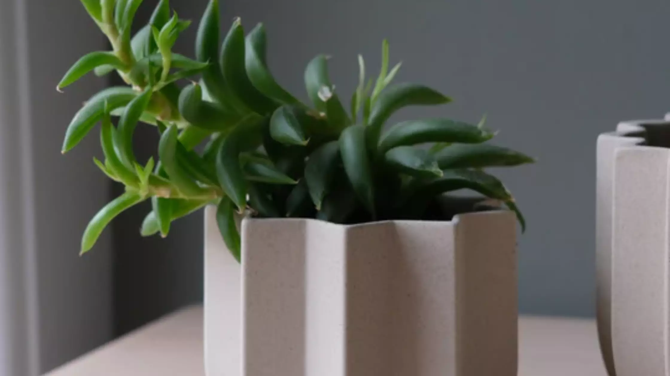 Elevating Modern Interiors with Misewell: Ceramic Pots, Lighting, and Contemporary Mirrors