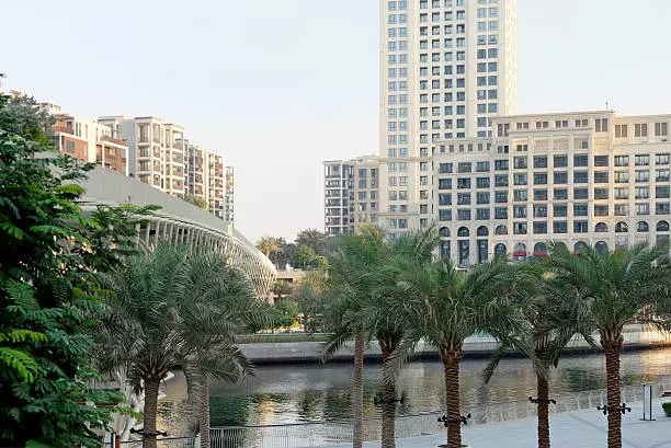 Feasibility Study Improving Project Viability by 38% in UAE