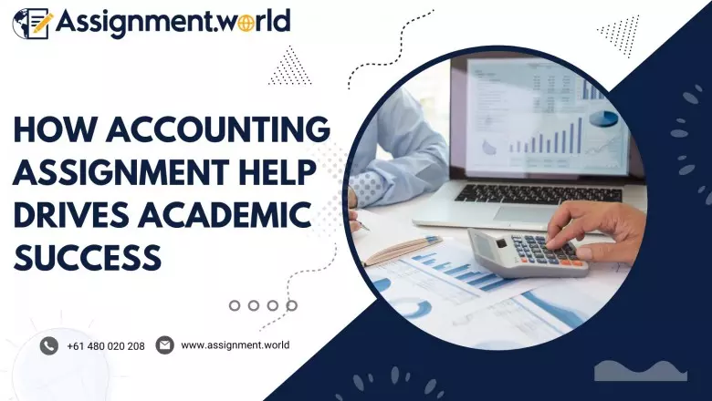 How Accounting Assignment Help Drives Academic Success