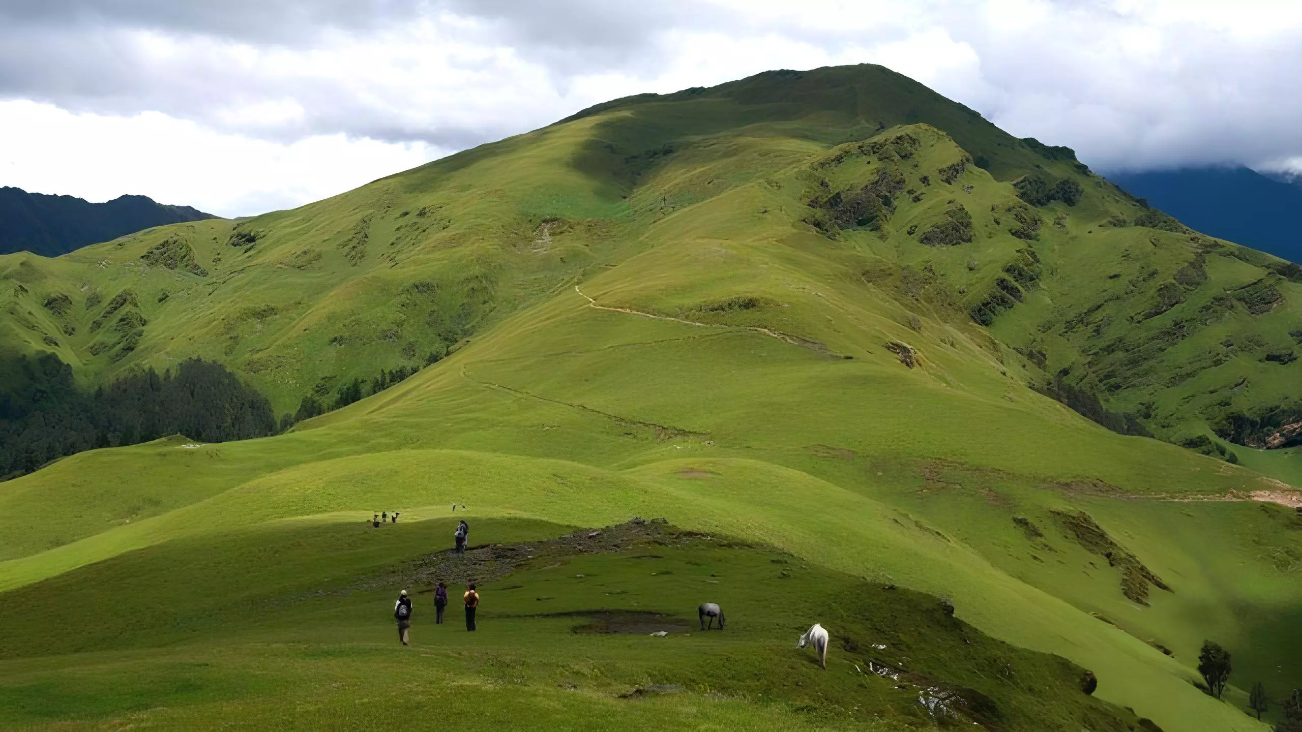 How to Plan Your First Solo Trip to Ali Bedni Bugyal