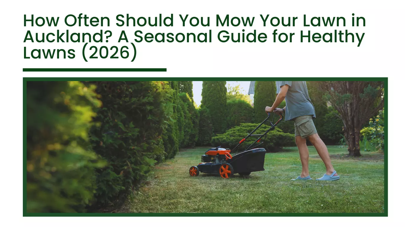 How Often Should You Mow Your Lawn in Auckland? A Seasonal Guide for Healthy Lawns (2026)