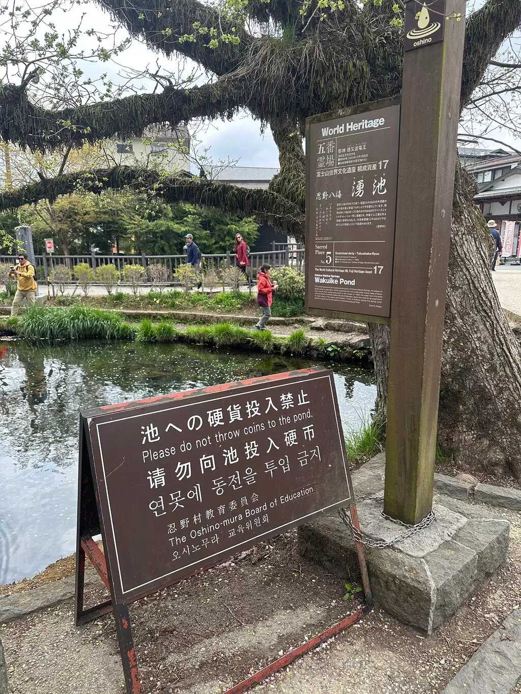 Private Tokyo to Nagano Nature & Zen Tour: Snow Monkeys and Temple Wonders