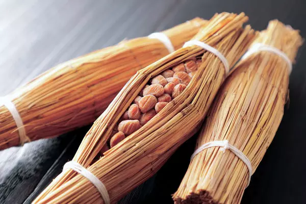 How Traditional Nutrition Supports Long-Term Bone Wellness?