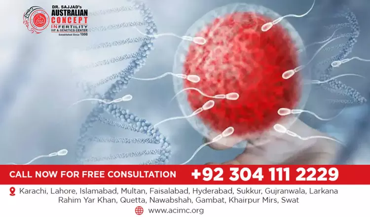 How Male Age and DNA Fragmentation Affect the Success Rates of the ICSI Procedure