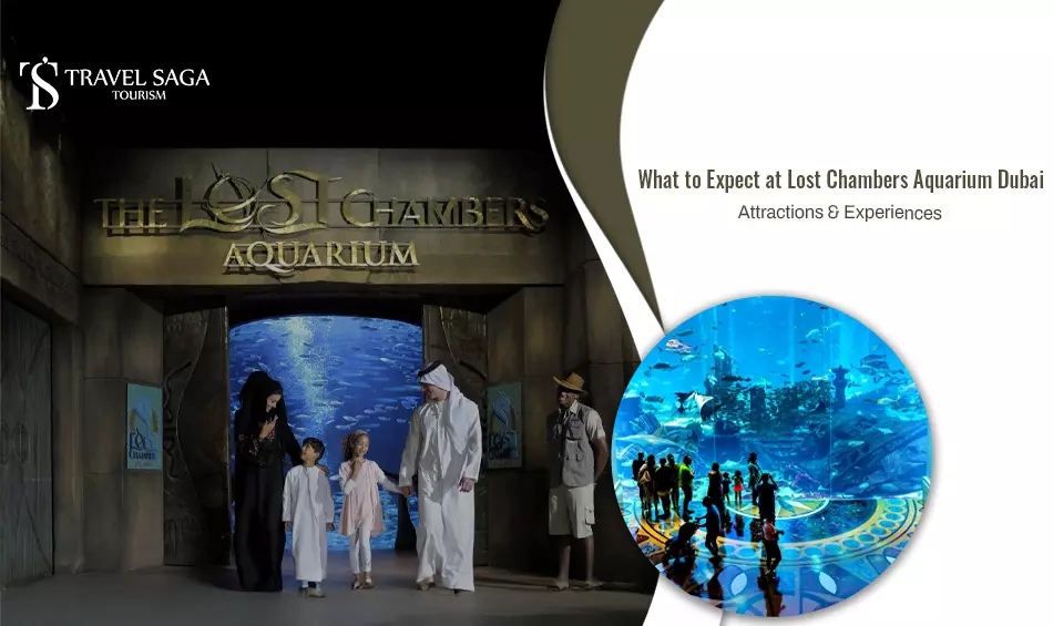 What to Expect at Lost Chambers Aquarium Dubai Attractions & Experiences