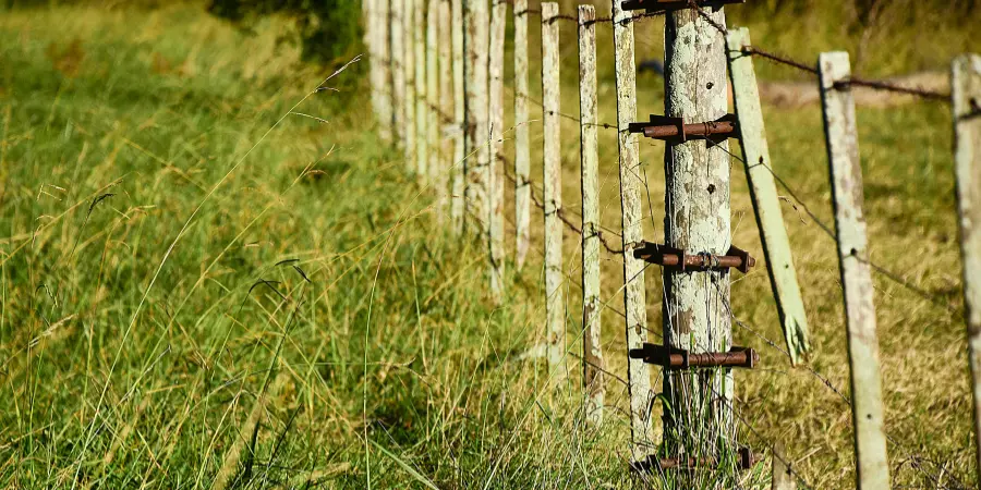 The Power of Powder Coating: Building Fences That Last