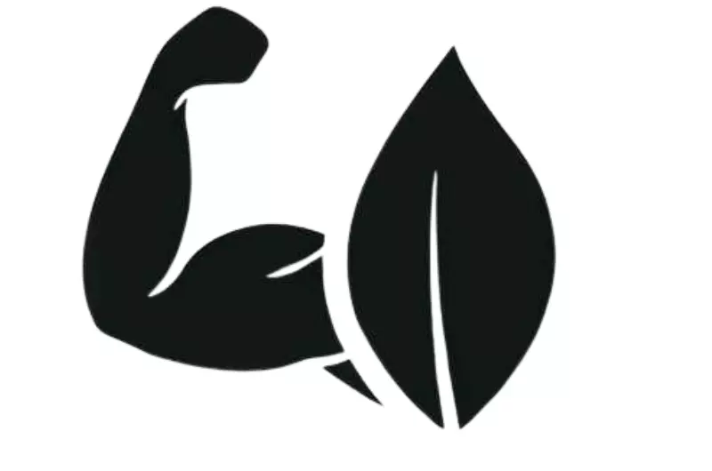 USA Tax Calculator: A Complete Guide to Estimating Your Taxes in 2025