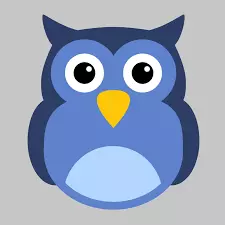 Scale Owl Digital Marketing Agency